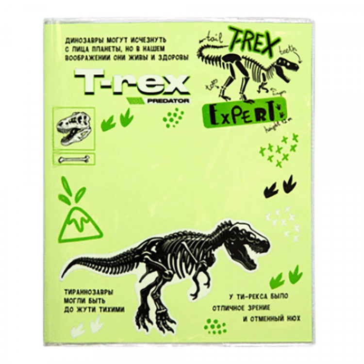 Обложка для тетради и дневника 213*355 ПВХ 140мкм 3 штуки набор (deVENTE) T-Rex арт.8051325