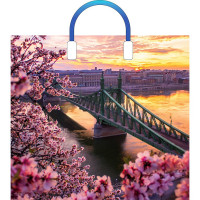 Пакет ПВД с пластиковыми ручками 38*34+3 90мкм Дунай