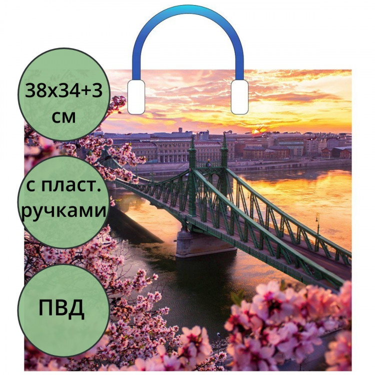 Пакет ПВД с пластиковыми ручками 38*34+3 90мкм Дунай