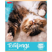 Тетрадь А5 клетка 60 листов скоба (Hatber) Кот Борис ассорти арт 60Т5В1