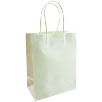 Пакет бумажный с ручкой "Белый" 18*23+10сантиметров арт.ПБР59380