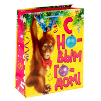 Пакет подароч. бумаж. 23*27см "С Новым годом" арт.1053004