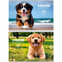 Альбом для рисования 40 листов скоба Счастливые пёсики арт.40-7273