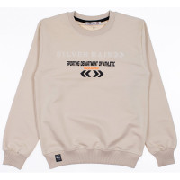 Джемпер для мальчика артикул LEYZ KIDS 9831 размер 36/140-44/164 цвет бежевый