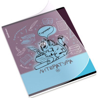 Тетрадь предметная 48 листов (ErichKrause) Котоформулы Литература пластиковая обложка арт.62537