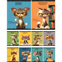 Комплект предметных тетрадей 10 штук 48 листов (Prof-Press) Про-хвост арт. 48-2736