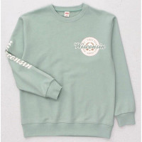 Свитшот для девочки арт.DMB 9619  размер 34/134-44/164 цвет минт