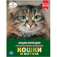 Энциклопедия с заданиями А4 Кошки и котята (Умка) арт.978-5-506-02698-3