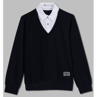 Джемпер-обманка для мальчика (Делорас) арт.G71375 размер 34/134-44/164 цвет черный/белый ворот