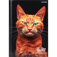 Бизнес-блокнот А6 твердая обложка 80 листов (Prof-Press) Рыжий кот-1 глянцевая ламинация арт.80-1756