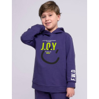 Свитшот для мальчика (CLE) артикул 836085/51у_п размерный ряд 28/110-32/128 цвет фиолетовый