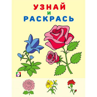 Раскраска А5 Узнай и Раскрась Цветы (Фламинго) арт.31978