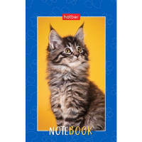 Блокнот А7 мягкая обложка склейка 48 листов (Hatber) Пушистые лапки клетка арт.48Б7В1к