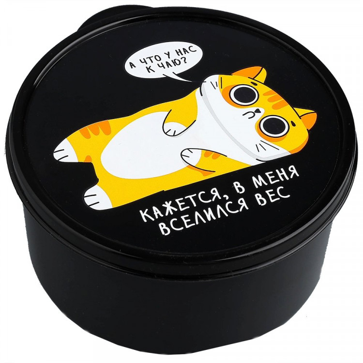 Ланч-бокс 0,5л "В меня вселился вес" арт.4569100