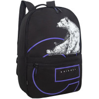 Рюкзак для мальчиков (Grizzly) арт.арт.RQL-614-1/3 черный - фиолетовый 30х43х14 см