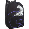 Рюкзак для мальчиков (Grizzly) арт.арт.RQL-614-1/3 черный - фиолетовый 30х43х14 см
