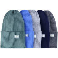 Шапка демисезон для мальчика (Полярик) арт.L-02-4 размер 52-54 цвет ассорти