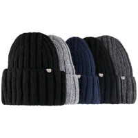 Шапка зимняя для мальчика (Полярик) арт.M-05-43 размер 56-58 цвет ассорти