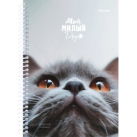 Записная книжка А5 мягкая обложка на гребне 80 листов (Prof-Press) Мой милый друг глянцевая ламинация арт.80-3773