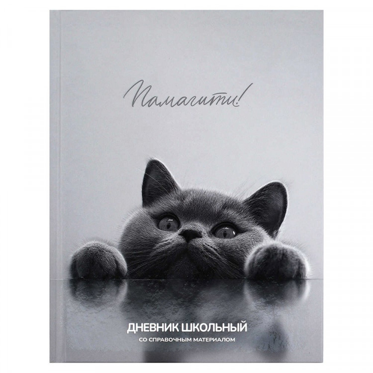 Дневник школьный твердая обложка (Феникс) Британский кот матовая ламинация арт.72733