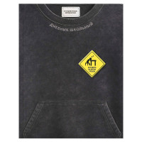 Дневник школьный твердая обложка Феникс Фразы с характером ламинация софт-тач вельвет арт.72804