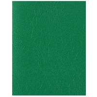 Тетрадь А4 клетка 96 листов бумвинил скоба (МАЯК) Зеленыйарт Т4096 Б2