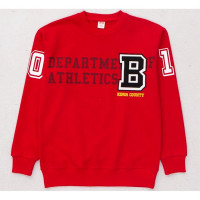 Толстовка для мальчика артикул (DMB) 4971 размер 34/134-44/164 цвет красный