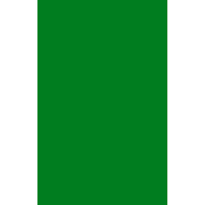 Блокнот А6 мягкая обложка на гребне 60 листов (BG) для конференций зеленый арт 1591