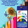 Карандаши цветные (ЛУЧ) Классика 12 цветов арт.29С 1710-08