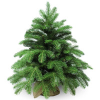 Елка настольная 60см (хвоя литая+ПВХ, ветки примотка, подставка пенёк+мешковина) "Anson" арт.1031906