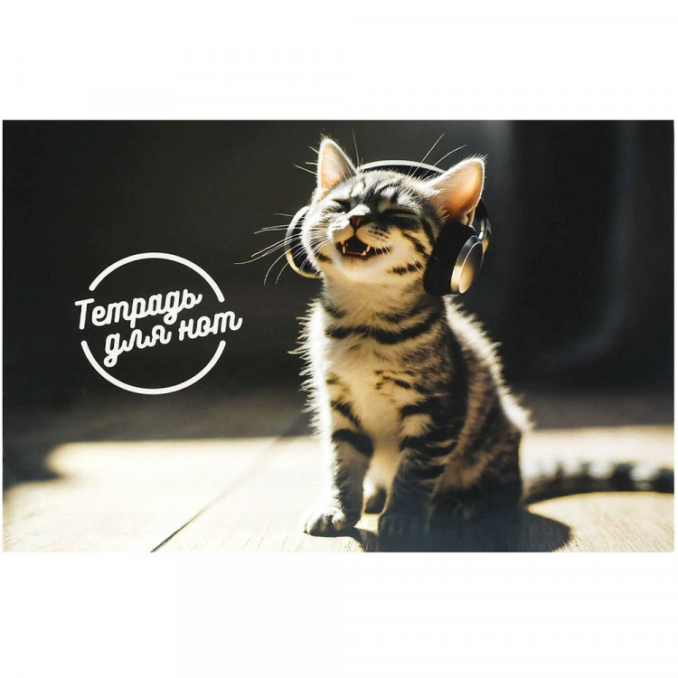 Тетрадь для нот А4 12 листов скоба Феникс Музыкальный котенок арт.73222