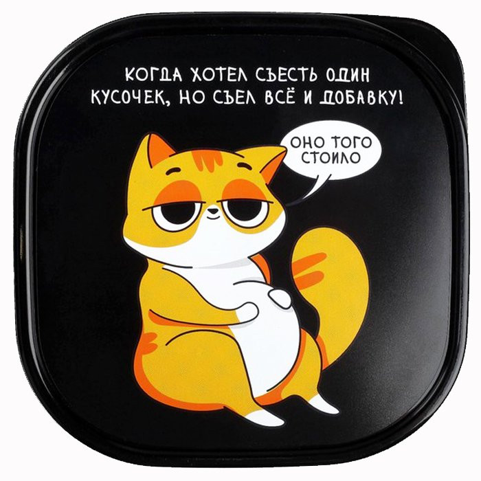 юЛанч-бокс 0,7л. "Кот" арт.4569087