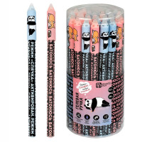 Ручка гелевая ПИШИ-СТИРАЙ (Феникс) Герои с характером синяя 0,5мм арт.69496 (Ст.30)