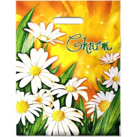 Пакет ПВД прорезная ручка 31*40 60мкм Очарование