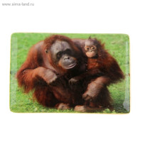 юМагнит СИМВОЛ ГОДА "Шимпанзе с малышом" 7,5см арт.1057290