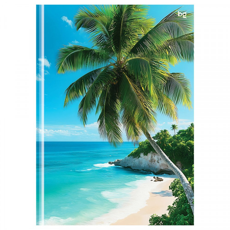 Бизнес-блокнот А5 твердая обложка 160 листов (BG) Пляж клетка глянцевая ламинация 60 г/м²  арт.ББ5т160_лг 09859