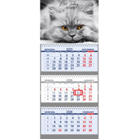 Календарь настенный 3-бл 2026 295*700 "Not Today" на 3 гребнях Attomex арт.2133530 (Ст.40)