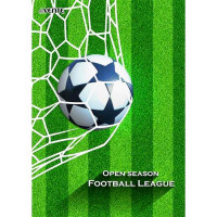 Папка-уголок А4 150мкм пластик deVENTEFootball League арт.3074917