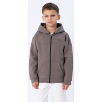 Толстовка для мальчика артикул Divonette 11293 размер 36/140-42/158 цвет Тауп