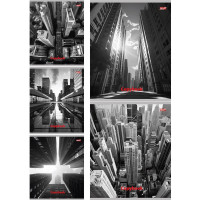 Тетрадь А5 клетка 48 листов скоба (Prof-Press) Мегаполис в черно-белом цветная мелованная обложка ассорти арт.48-5748