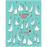 Тетрадь на кольцах А5 клетка 160 листов (BG) Gussi глянцевая ламинация арт.ТТ5к160_лг 11366