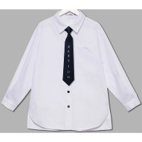 Блузка для девочки (Делорас) длинный рукав цвет голубой арт.C64204N