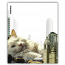 Набор обложек для тетради 212х347 полипропилен 80мкм 12 штук набор Big City Cats (ErichKrause) арт 63508