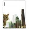 Набор обложек для тетради 212х347 полипропилен 80мкм 12 штук набор Big City Cats (ErichKrause) арт 63508