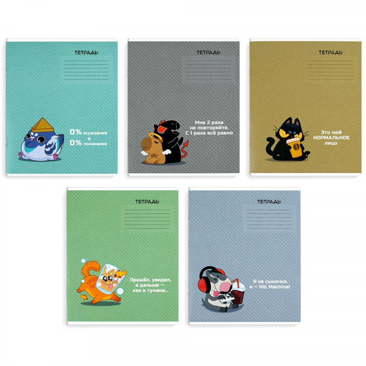Тетрадь 12 листов линия Феникс Герои с характером ассорти арт.70904