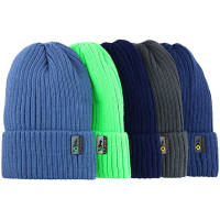 Шапка демисезон для мальчика (Полярик) арт. G-01-18 (о) размер 52-56 цвет ассорти