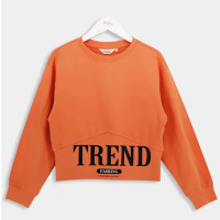 Джемпер для девочки арт.Deloras 21565 размер 34/134-44/164 цвет кирпичный