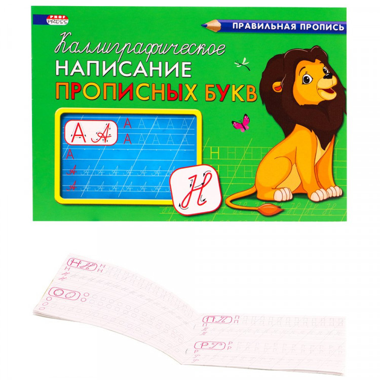 Раскраска А5 Прописи Каллиграфическое написание прописных букв (Проф-Пресс) арт.ПР-9332