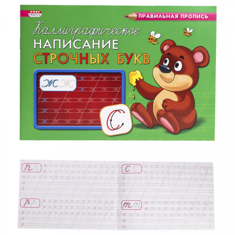 Раскраска А5 Прописи Каллиграфическое написание строчных букв (Проф-Пресс) арт.ПР-9333