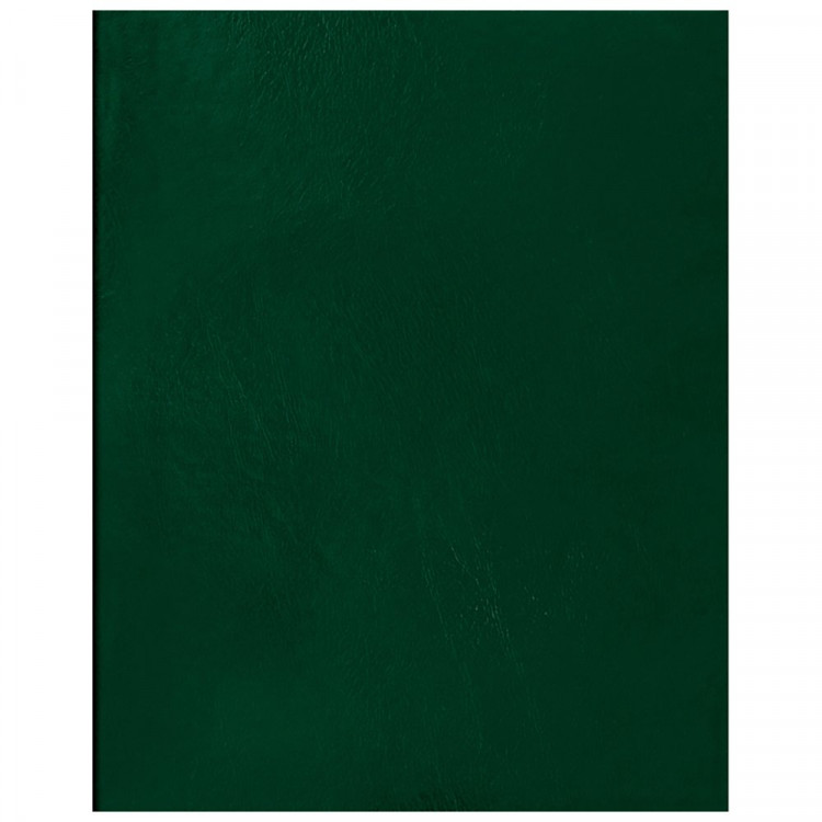 Тетрадь А4 клетка 96 листов бумвинил скоба (BG) зеленый арт.Т4бв96к_12339